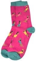 Sausage Dog Socks 2 Pair Pack Dachshund Dogs in Hot Pink and Blue