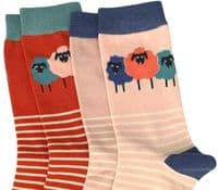 Sheep Socks 2 Pair Pack in Pink and Orange Women's Size 3 to 7