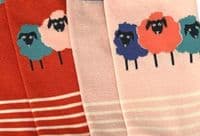 Sheep Socks 2 Pair Pack in Pink and Orange Women's Size 3 to 7