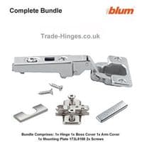 Blum 100 Degree Hinge