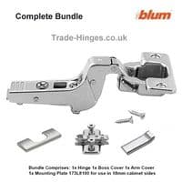 Thick Door Hinge - Inset Unsprung