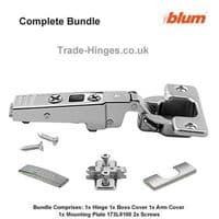 Thick Door Hinge - Overlay Unsprung
