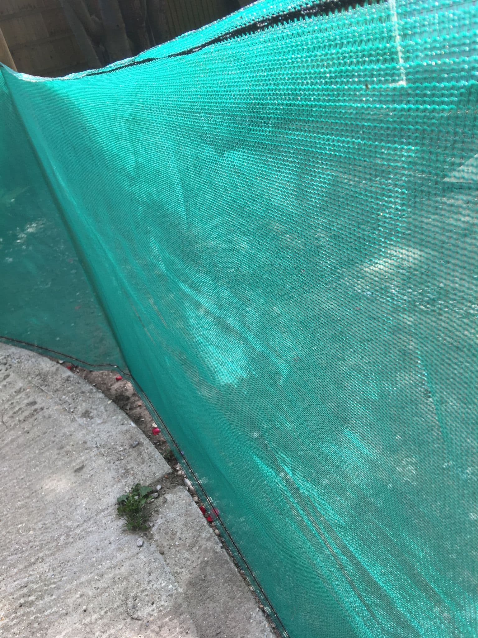 Garden Netting 1 5m x 4m