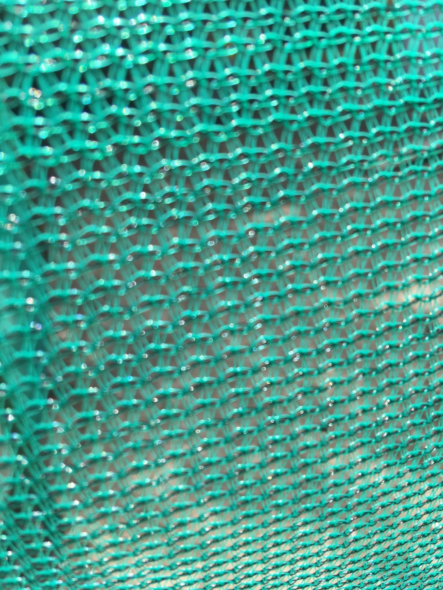 Garden Netting 1 5m x 4m