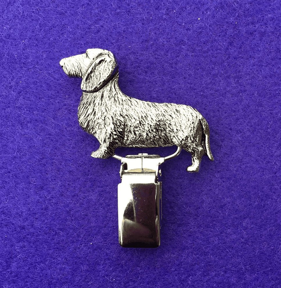 Pin wire haired dachshund best sale