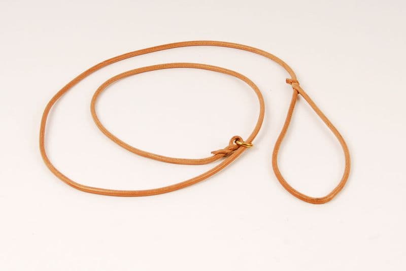 HandMade Rolled Leather Dog Show Slip Lead
