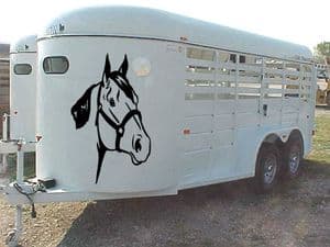 Horse Sticker Heavy Head