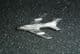 MiG-19