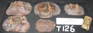 T-126 5 pcs Tarawa gun pits