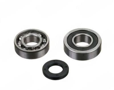 INJECTION PUMP SHAFT BEARING & SEALS KIT **CHECK SIZES** (74231)