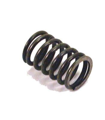 VALVE SPRING (81817098) (AE5D)