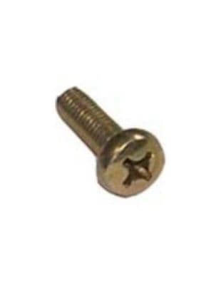 WINDOW HINDGE FIXING SCREW (BD12C)