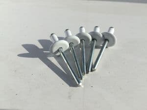 White Large Head Standard Pop Rivets 4.8 x 12mm