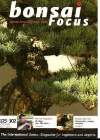 Bonsai Focus Jan-Feb 2010 #102 EN