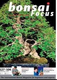 Bonsai Focus May-June 2010 #104 EN