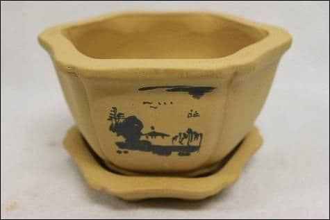 Bonsai Pot, Hexagonal, 14cm, Brown, Unglazed, Motif, Saucer