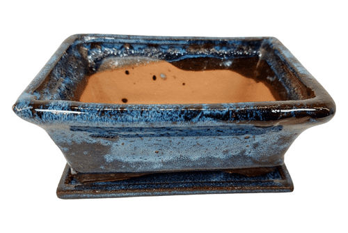 Bonsai Pot, Rectangle, 16cm, Blue, Glazed, Saucer, USED_2