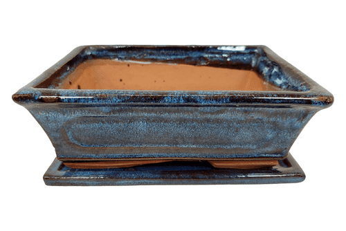 Bonsai Pot, Rectangle, 18cm, Blue, Glazed, Saucer, USED #3