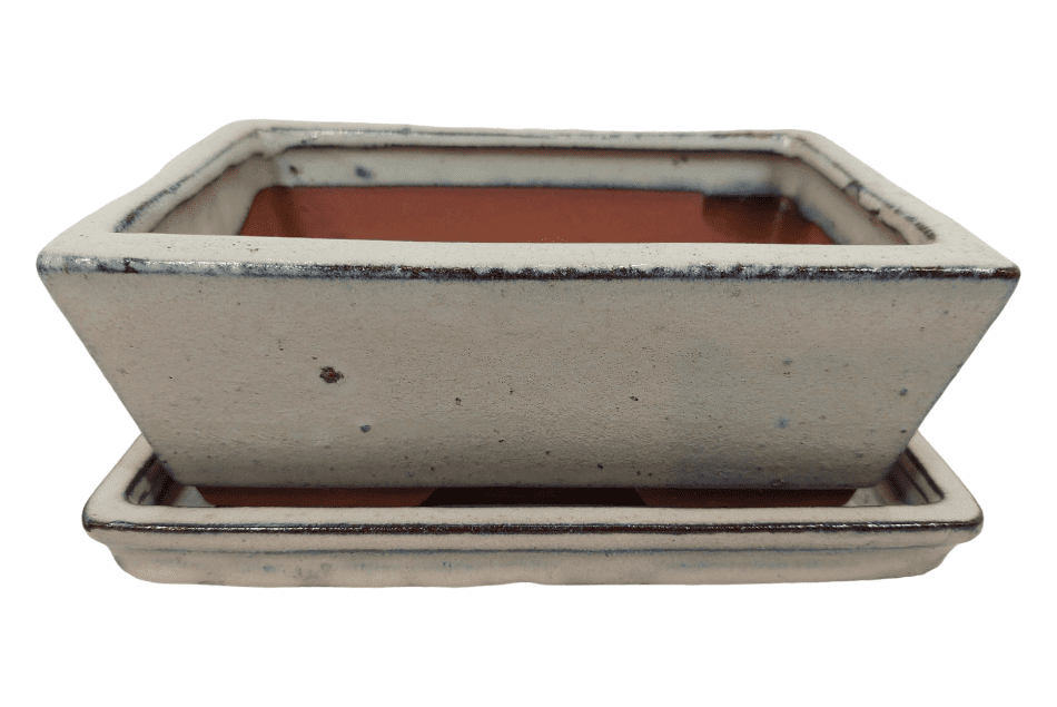 Bonsai Pot, Rectangle, 18cm, Cream, Glazed, Saucer, USED #8