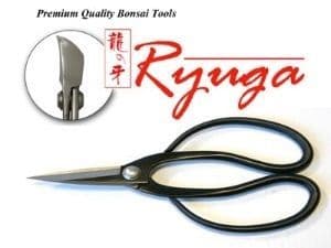Ryuga Large Pruning Shears, 160mm
