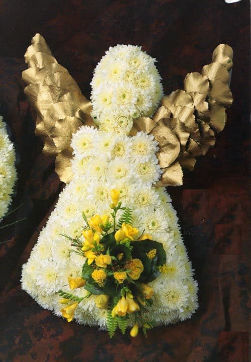 Angel 1