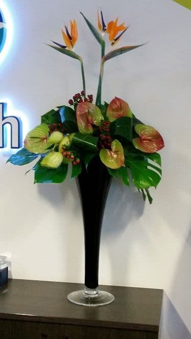 Anthirium & birds of paradise