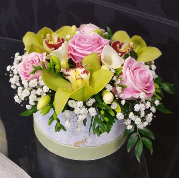 Hatbox 2