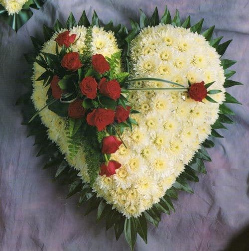 Heart 1