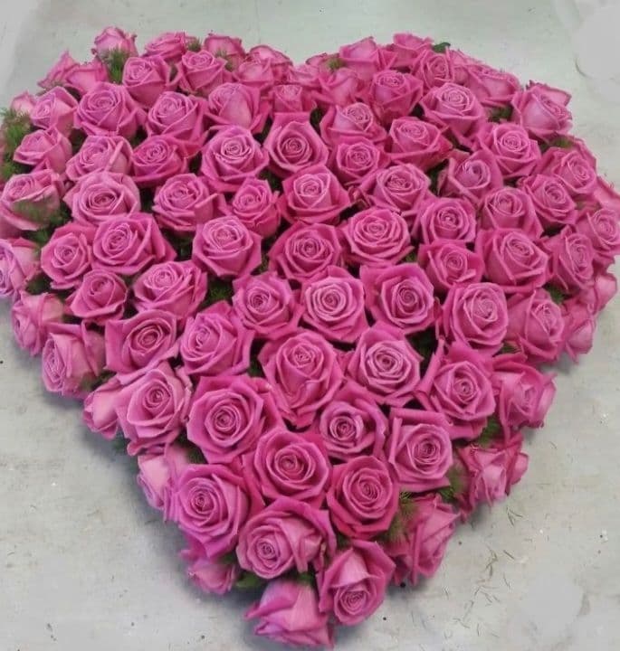 Heart 3