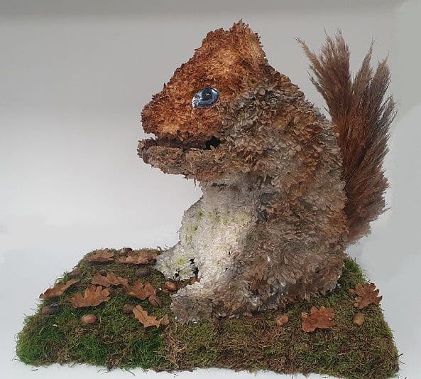 Squirrel