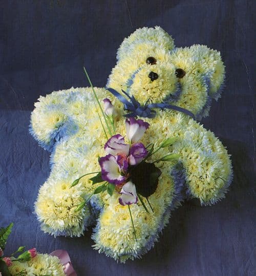Teddy Bear sym-23