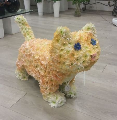 tribute cat