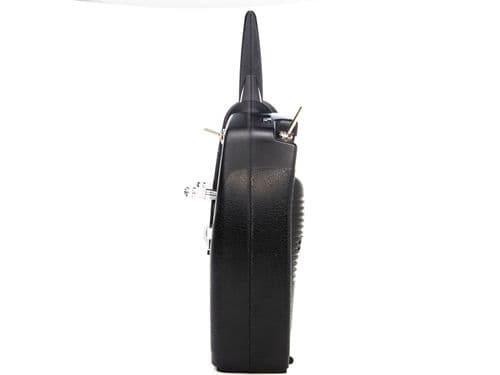 Spektrum DXS DSMX récepteur AR410