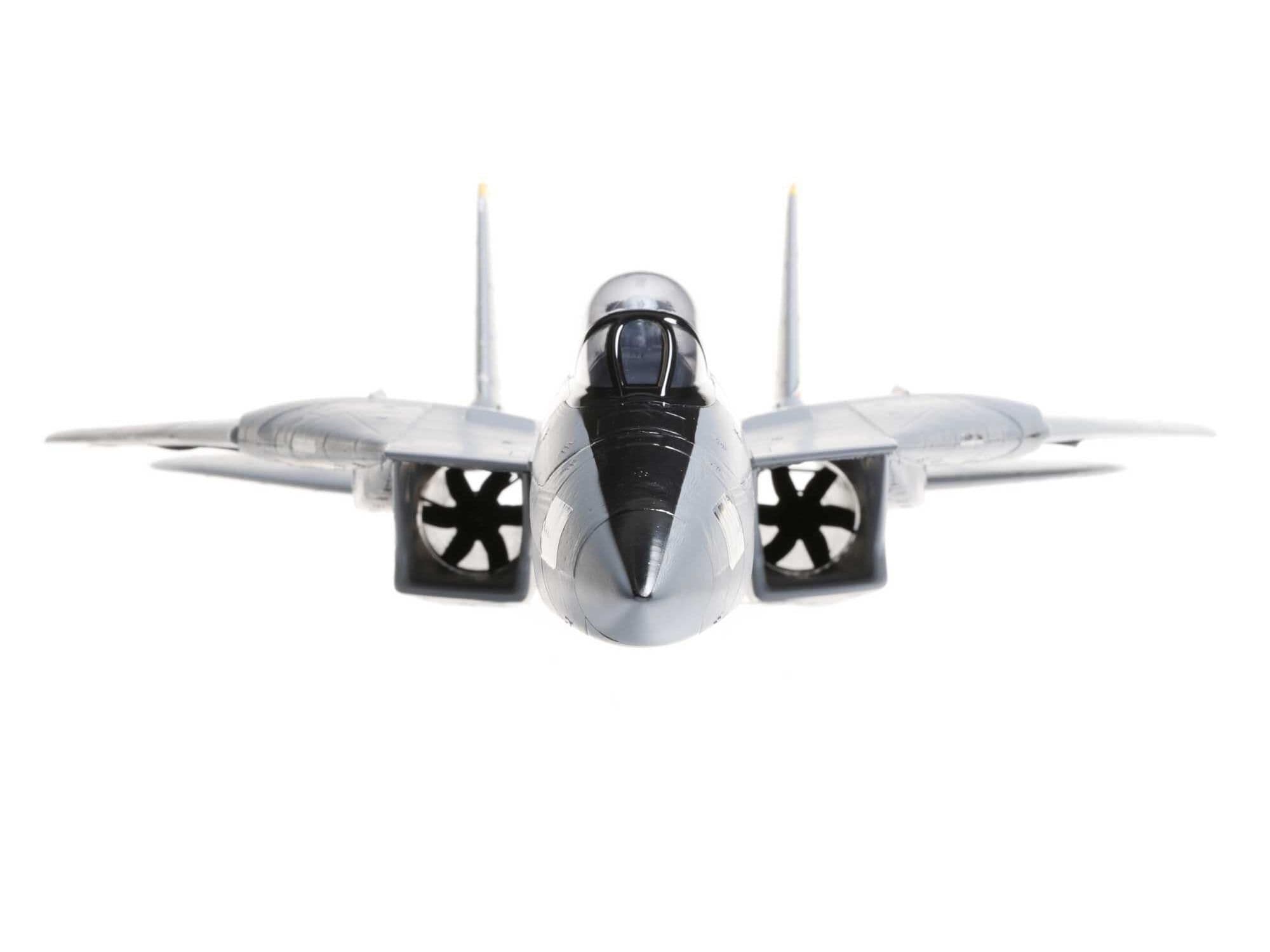 E-flite F-14 Tomcat Twin 40Mm Edf Bnf Basic A-EFL0 | Access Models