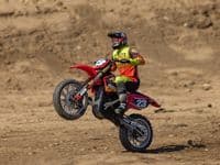 Losi 1/4 Promoto-MX Motorcycle RTR, FXRC-LOS06000T1