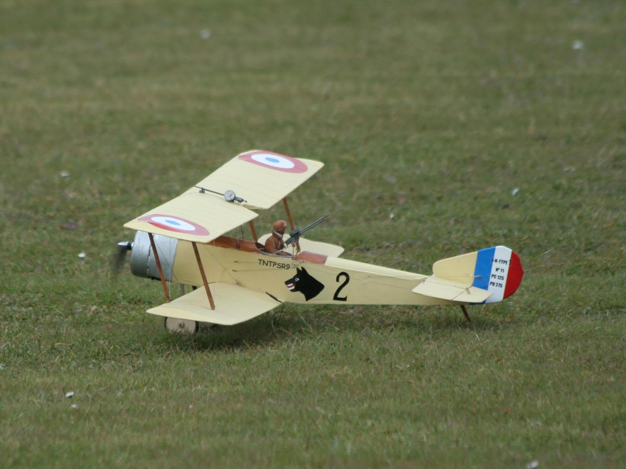 Sopwith 1/2 Strutter - 42
