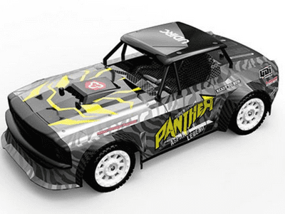 Udi Panther 1/16th 4WD Brushless	C-U1602PRO