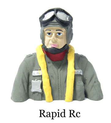 VQ WWII Focke-wulf 60A Pilot