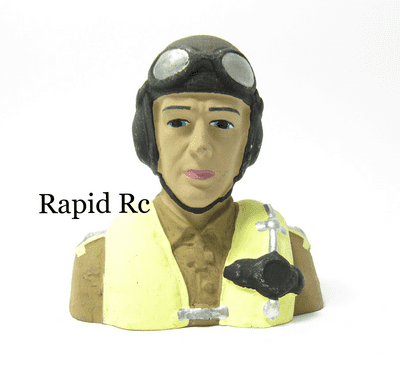 VQ WWII German Pilot