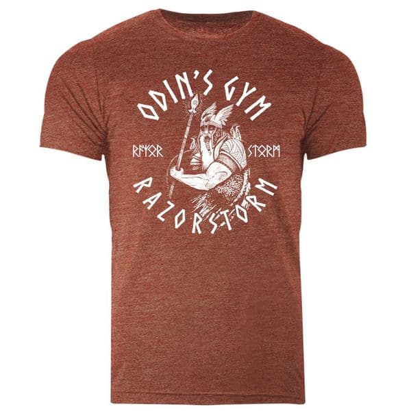 s546 Odins Gym Tee - Heather Clay