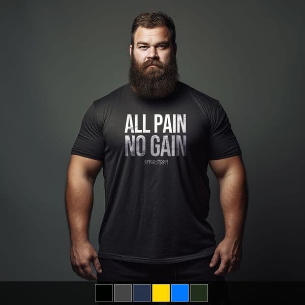 s588 All Pain no Gain Tshirt