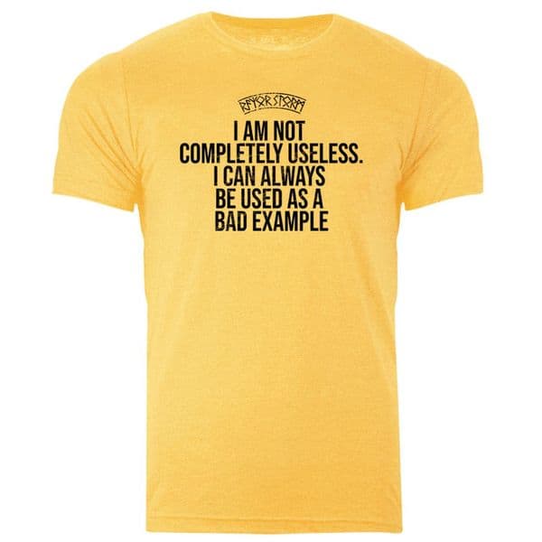 s702 I am not completely useless tee - Heather Gold