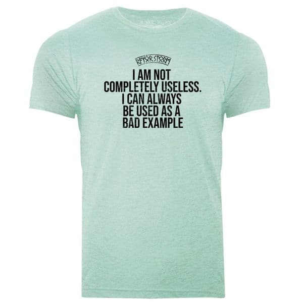 s702 I am not completely useless tee - Heather Prism Mint