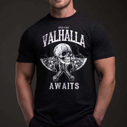 s992 Valhalla awaits v26 T-shirt - Heather Black