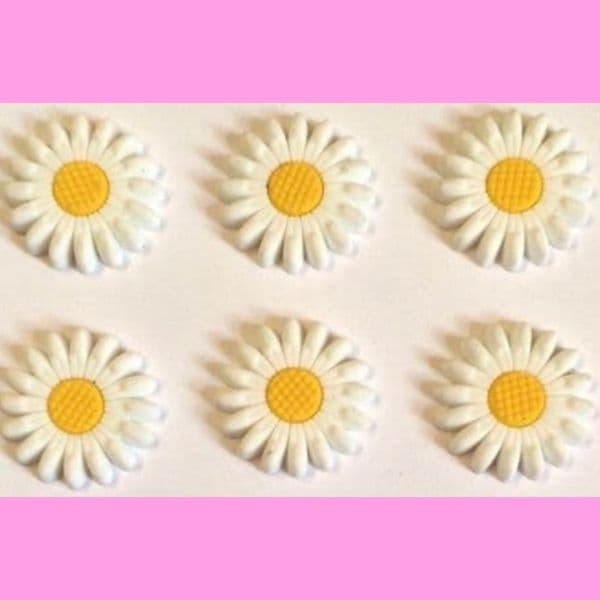 6 x White Daisy Charms