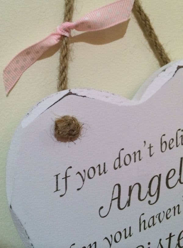 Believe in Angels my Sister Heart