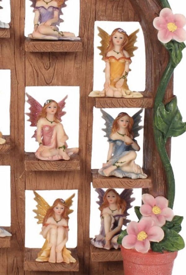 Fairy Single
