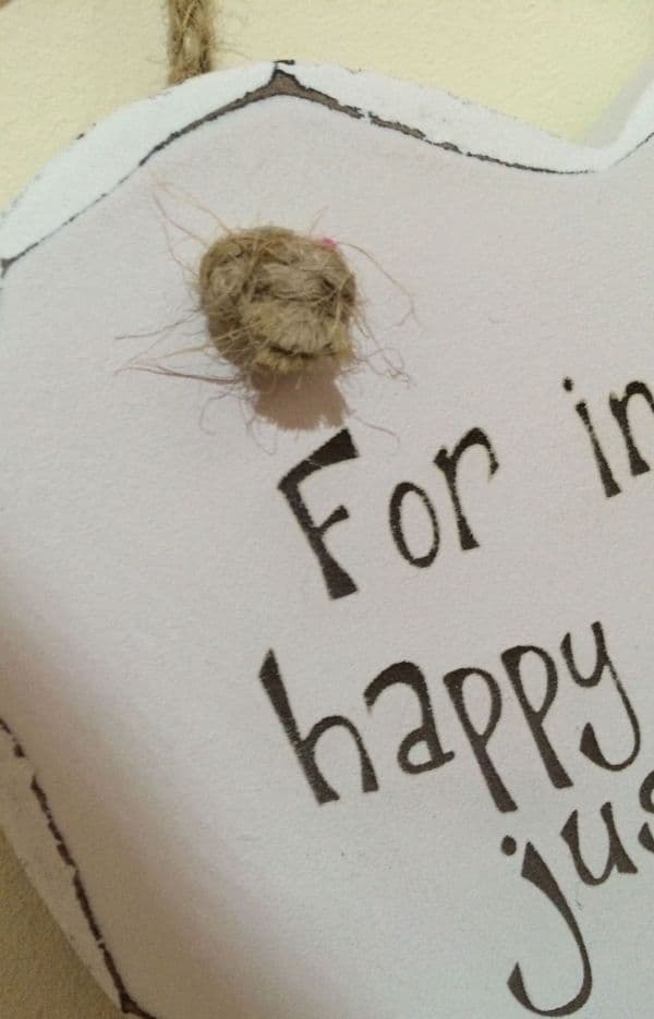 Instant Happy Woman Prosecco Hanging Heart