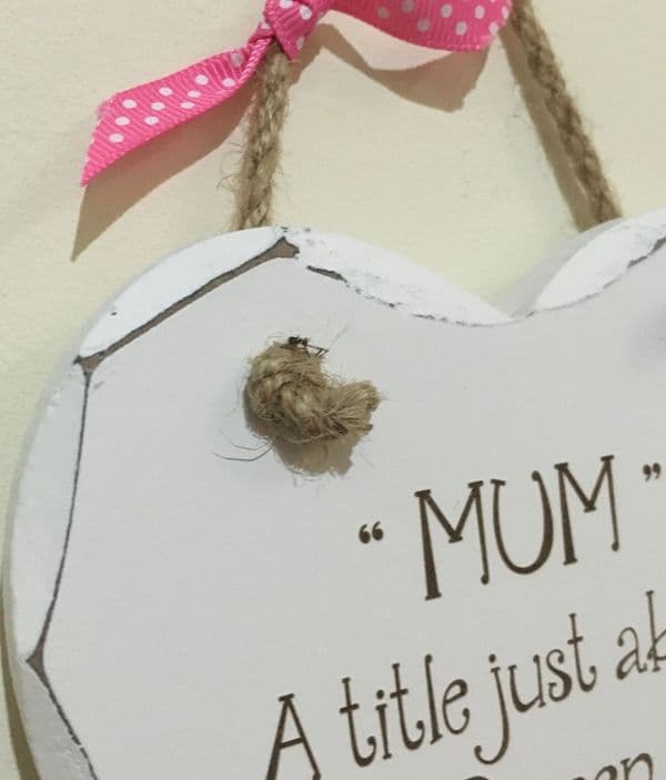 Mum title above Queen Hanging Heart
