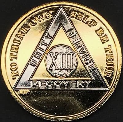 13 Year Bi Plate Gold Silver